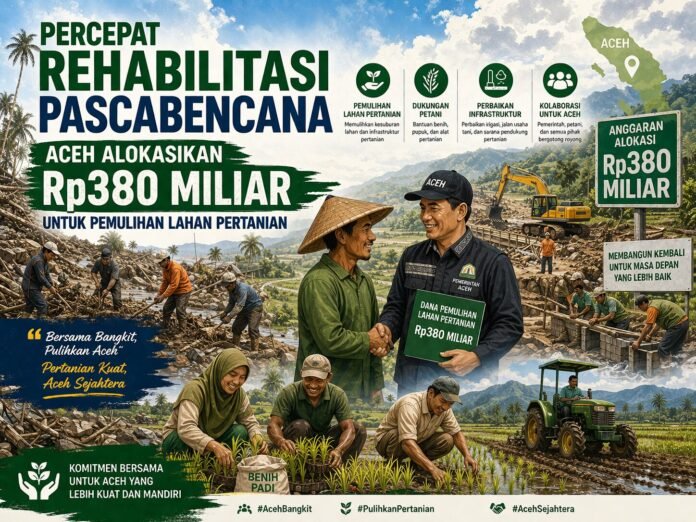 Percepat Rehabilitasi Pascabencana, Aceh Alokasikan Rp380 Miliar untuk Pemulihan Lahan Pertanian